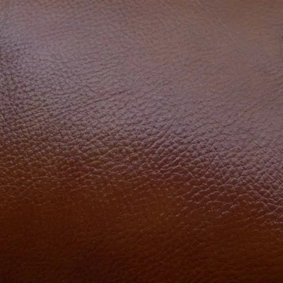 真皮